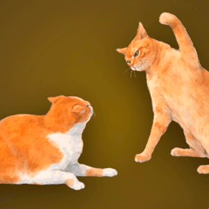 Cat Meme Clicker