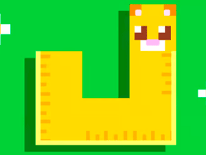 Longcat
